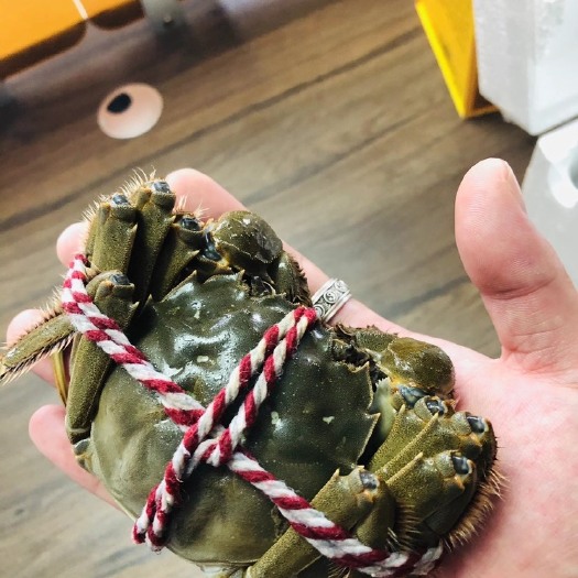 兴化市兴化大闸蟹，养殖基地直发。批发零售！欢迎询价！