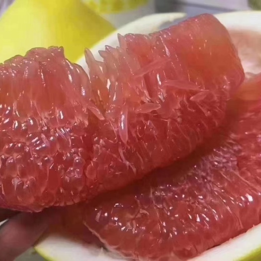 柚子蜜柚红柚白柚中秋送礼新鲜采摘果肉饱满味美鲜甜当季孕妇水果