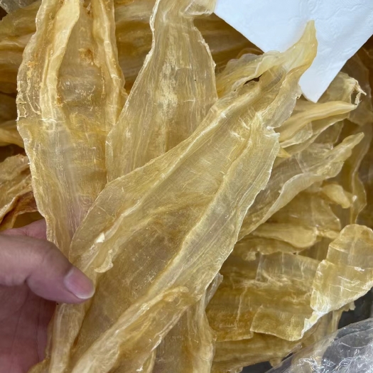 南澳县花胶 阴阳片13-14头鱼胶无油干身泡发出来厚肉Q弹纹路清晰