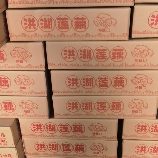粉藕 洪湖莲藕,一件代发,日发万单!