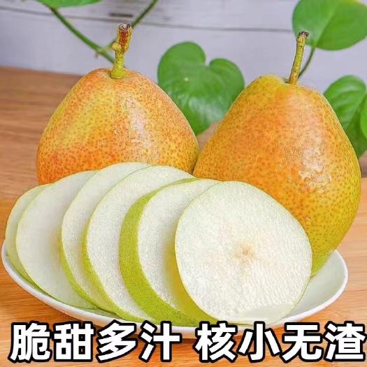 运城一抹红晕果库红香酥梨 现货供应！
