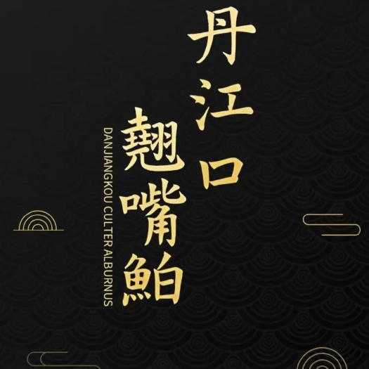 十堰优选南水北调丹江口翘嘴巴鲌鱼500g*2袋/盒半干整鱼独立包