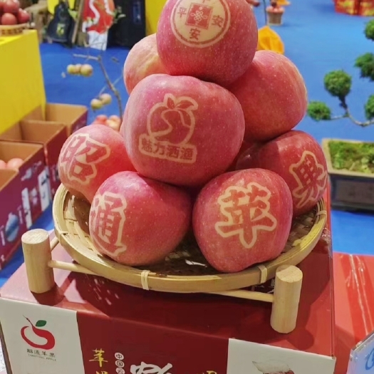 昭通云南昭通糖心苹果雨露均沾