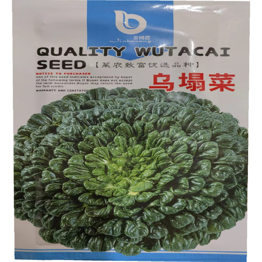 济南乌塌菜种子塌地凉爽清口菊花菜春秋播菜籽四季黄心乌塌菜种子