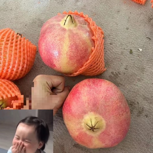 宾川县突尼斯软籽石榴
