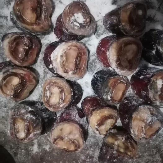 郑州短蹄