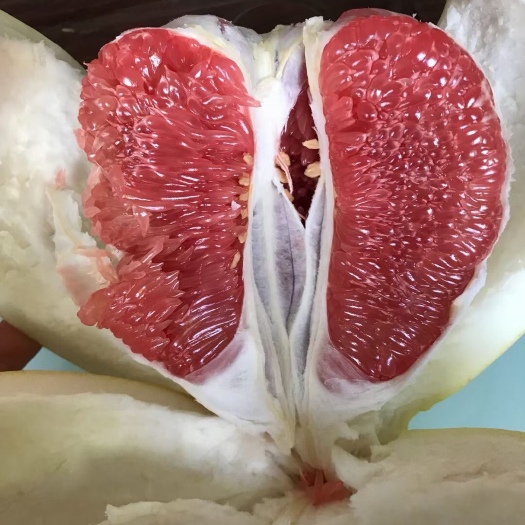 平和县正宗的琯溪三红蜜柚，新鲜采摘，水分足，甜度高，姿色漂亮。