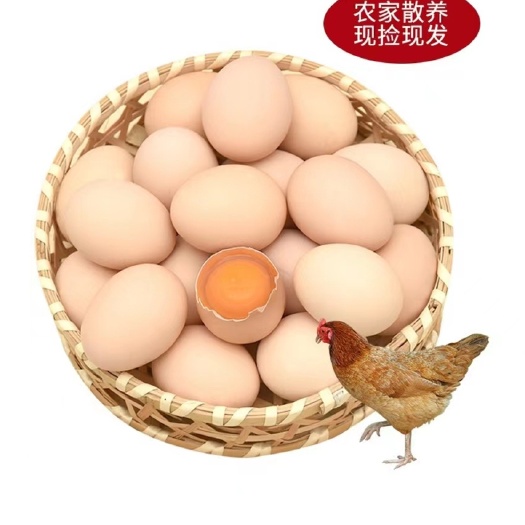 东莞市林间散养富硒鸡蛋