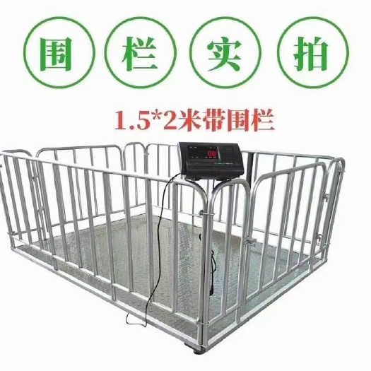 地磅  卖猪地磅