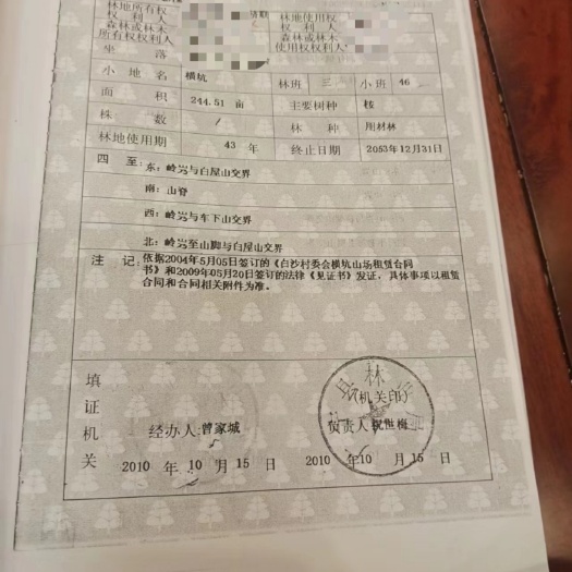 怀集县可种桉树地，大量出售
