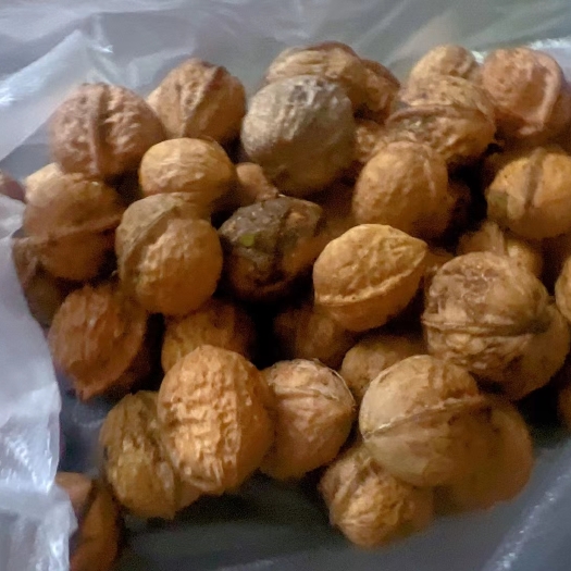 彝良县核桃