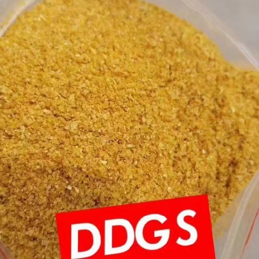 石家庄厂家直销玉米酒糟ddgs