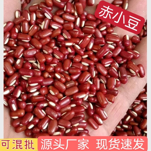 赤小豆，规格齐全，烘焙、磨粉、食品加工。
