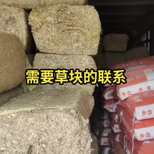 涿州市玉米秸秆扎段过夏草