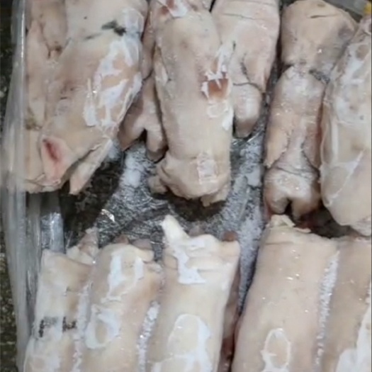 四平猪蹄  国产手卸带劲肥猪  黑猪蹄子