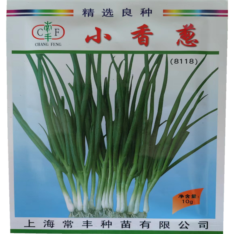 小香葱种子分蘖型四季小葱种子高产小葱籽春秋大田小分葱种子香味