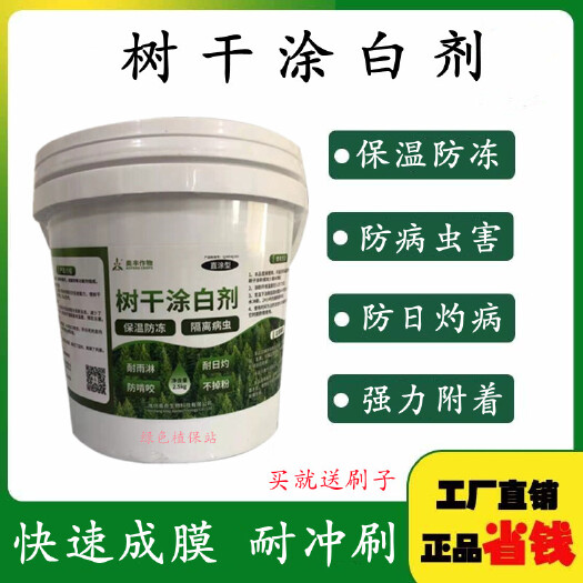 鄄城县奥丰树干树木涂白剂果树防虫刷白涂白粉抗病防寒杀菌清园防冻