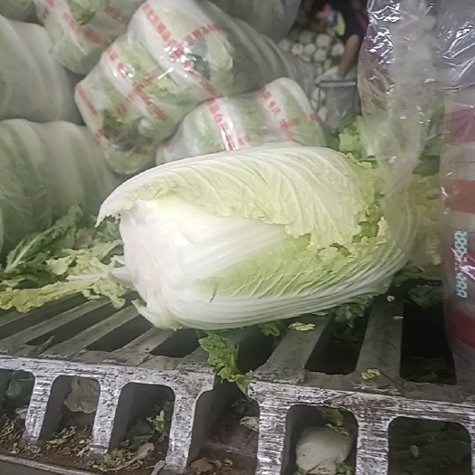 嘉兴黄心大白菜