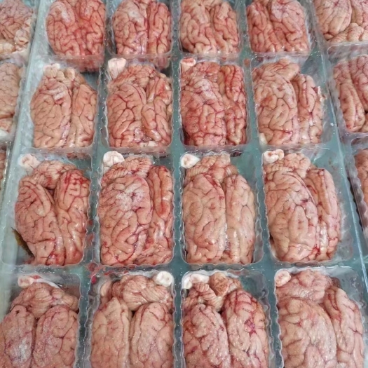 猪脑  湘厨脑花新鲜冻品96幅花商用火锅烧烤冷冻包装整件批发