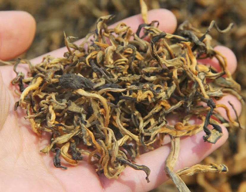 滇红茶 云南滇红茶 红茶 散装批发 糯香红茶 金针 500g