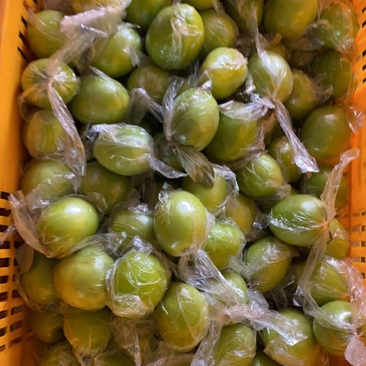广西平南县青枣，清甜脆口大量上市欢迎咨询