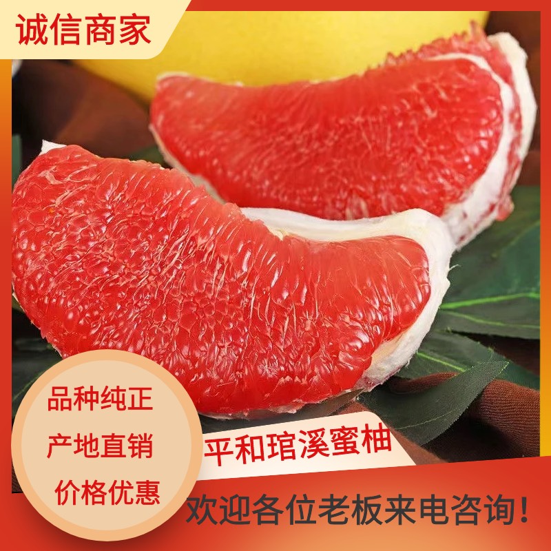 平和县红心蜜柚 福建平和原产地红柚自家果园应季水果支持批发代发