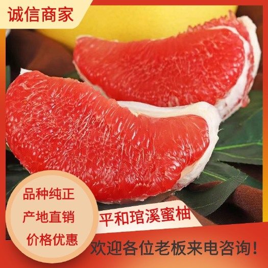 红心蜜柚 福建平和原产地红柚自家果园应季水果支持批发代发