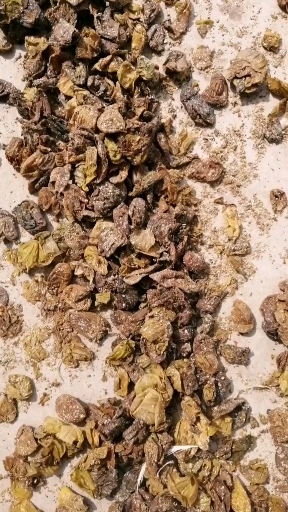 莘县纯干无水分自然晒干饲料级鸡内金
