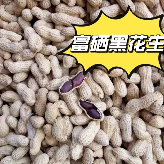 蠡县新货（基地直供）手选精品黑花生富硒黑花生