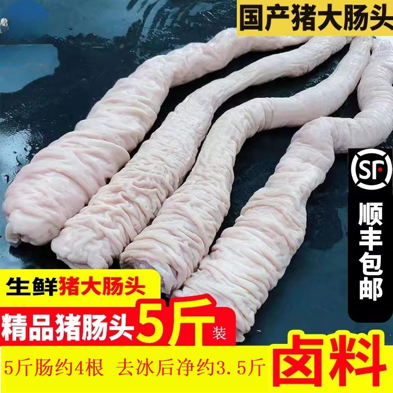 农家散养土猪大肠头 黑猪肥肠 生猪肠 冷冻猪大肠新鲜免洗干净