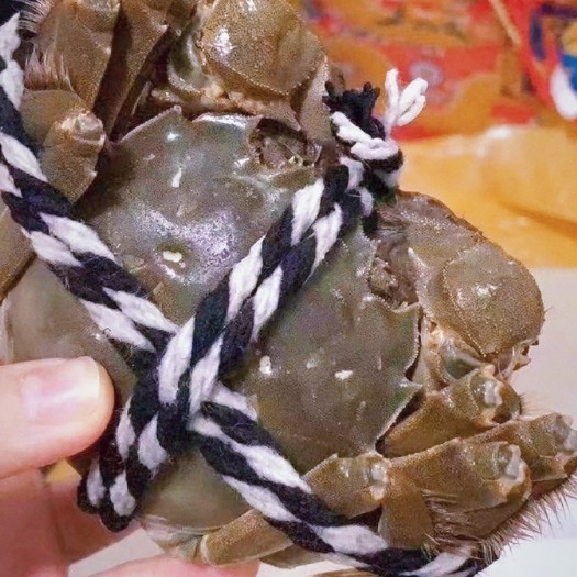 兴化市兴化红膏大闸蟹