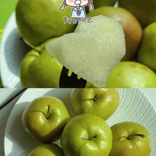 永昌县玉露香梨