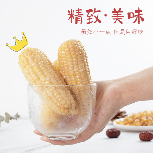 东北糯玉米真空白娃娃糯10根新鲜香糯早餐低脂代餐一件代发