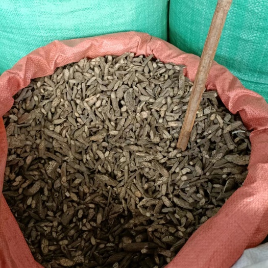 玉林中草药干货金线风别名金锁匙银锁匙百解藤量大从优
