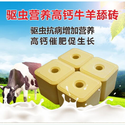 海兴县牛羊舔砖