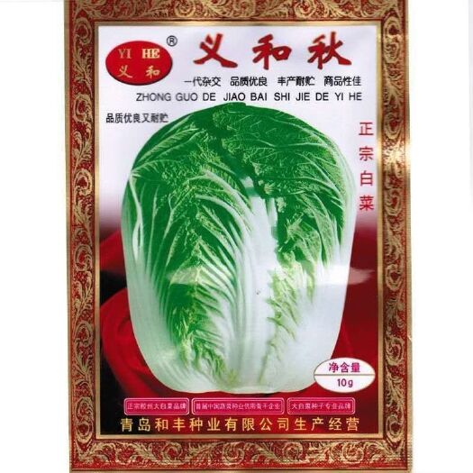 义和秋大白菜种子 白菜种子义和秋大白菜新种子包邮批发