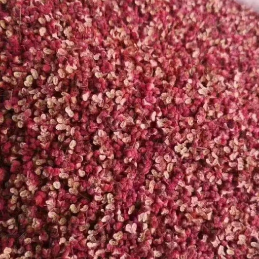 富平县花椒