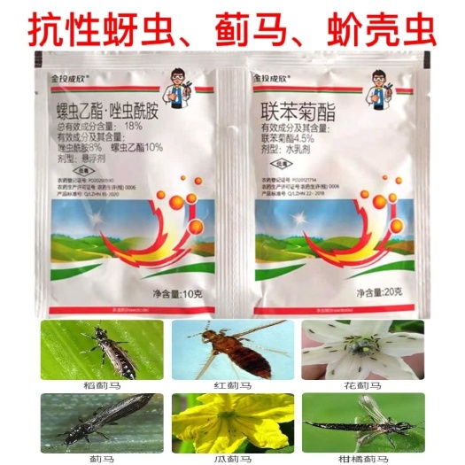 螺虫乙酯唑虫酰胺蓟马蚜虫飞虱专用药柑橘月季草莓番茄瓜果蔬菜