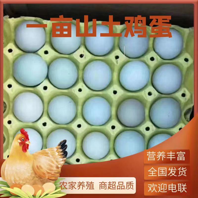 武漢高品質綠殼雞蛋，營養豐富，商超品質，歡迎電聯