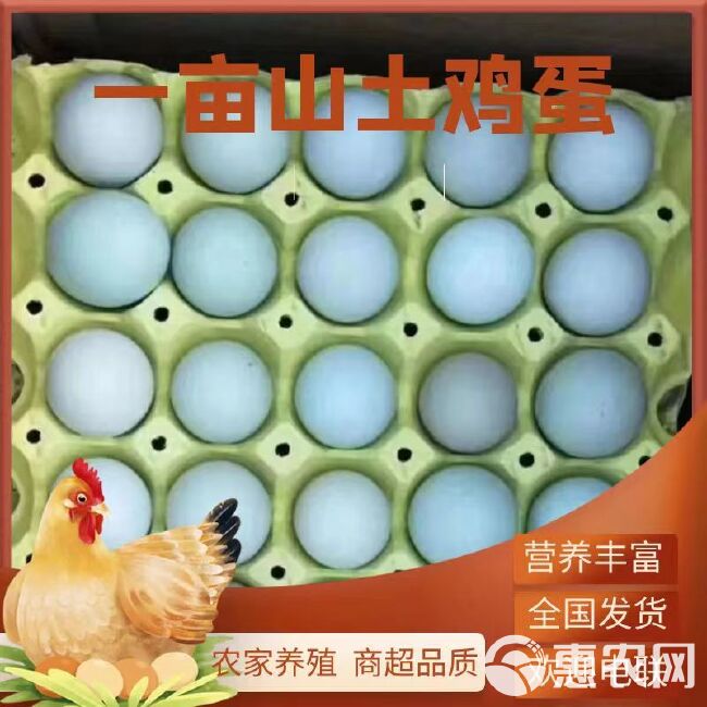 420枚装高品质绿壳鸡蛋，营养丰富，商超品质，欢迎电联