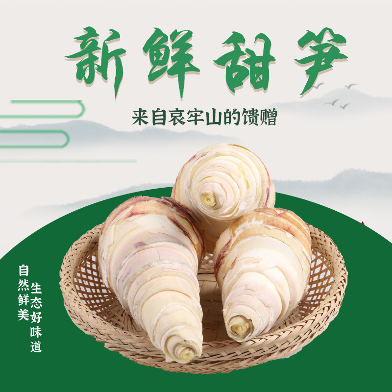 云南竹笋新鲜甜笋真宗普洱镇沅高原当季蔬菜现挖脆嫩春笋特产空运