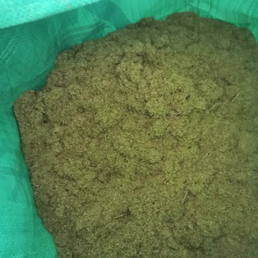 秀山纯松针粉