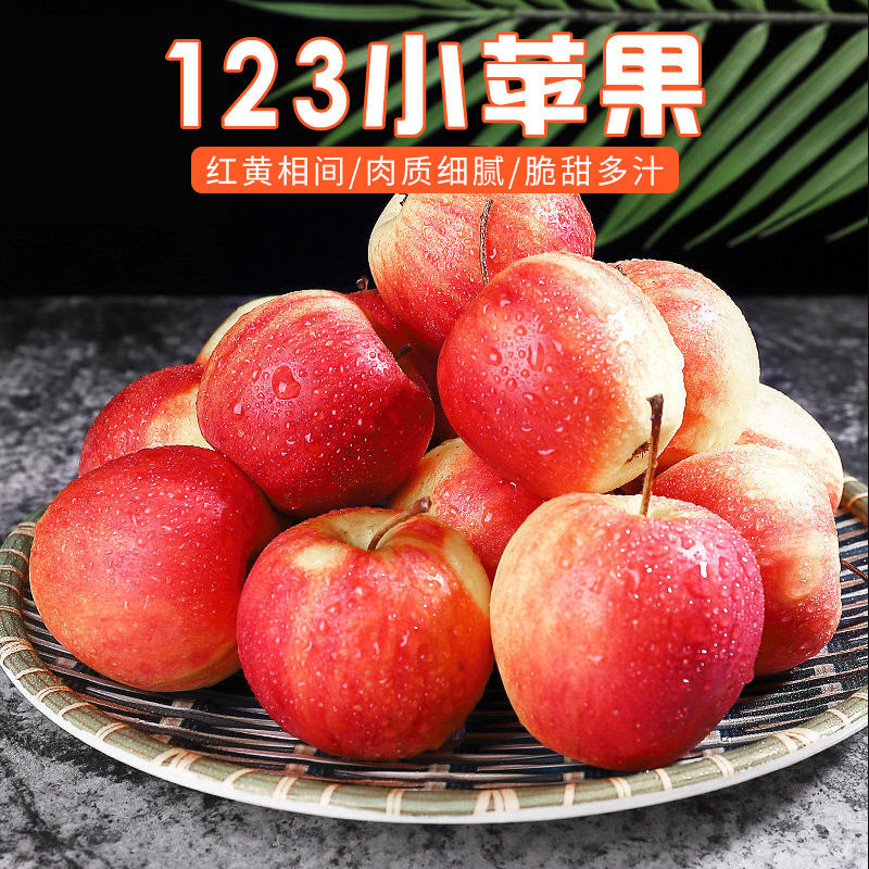 辽阳顺丰包邮东北123小苹果小沙果花红海棠果特产新鲜水果现摘现发