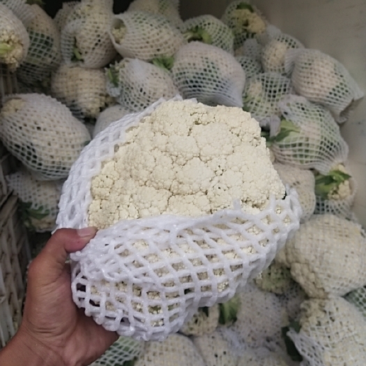 邯郸河北邯郸松花，量大从优，一手货源，欢迎咨询