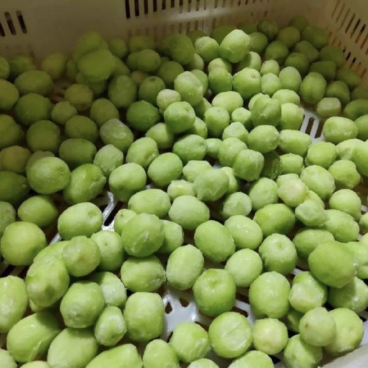 西昌市速冻阳光玫瑰颗粒