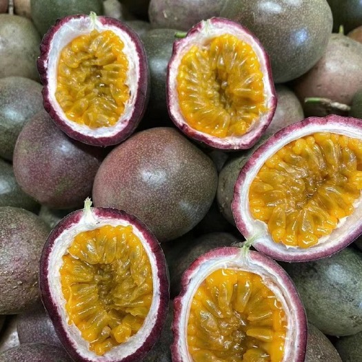 台农百香果 支持一键代发