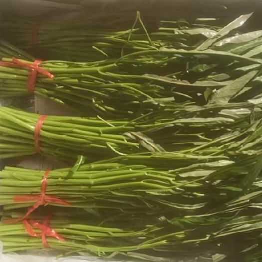 漳州空心菜，圆椒，辣椒