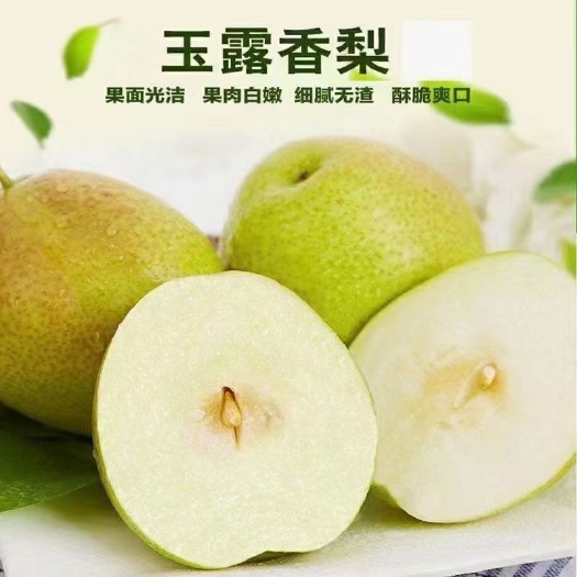 隰县山西隰县特产玉露香梨