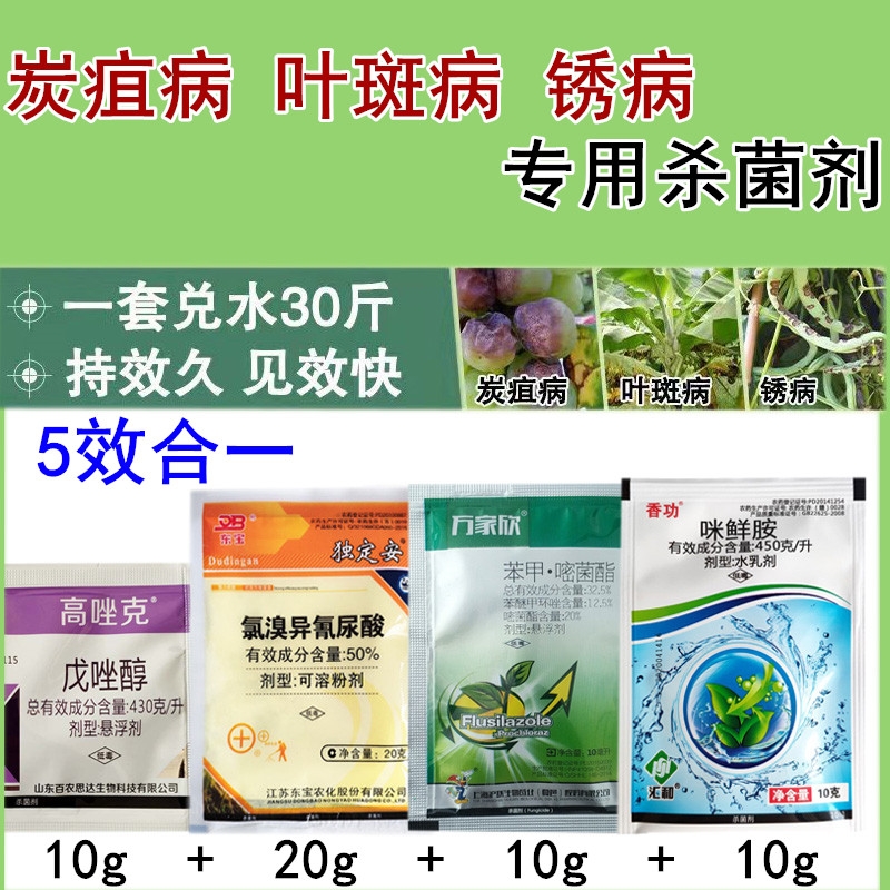 炭疽病锈病用药大棚蔬菜四季豆角锈病黄瓜叶斑病西瓜杀菌剂农药