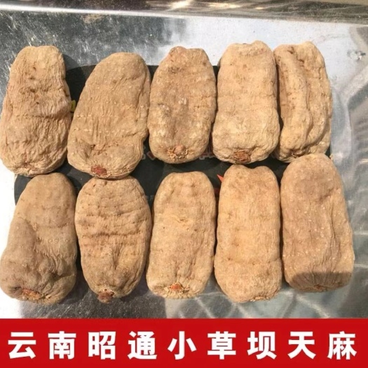 文山市【昭通小草坝天麻】云南昭通小草坝天麻500克袋装干天麻包邮